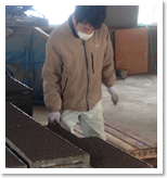 代表 作業中写真